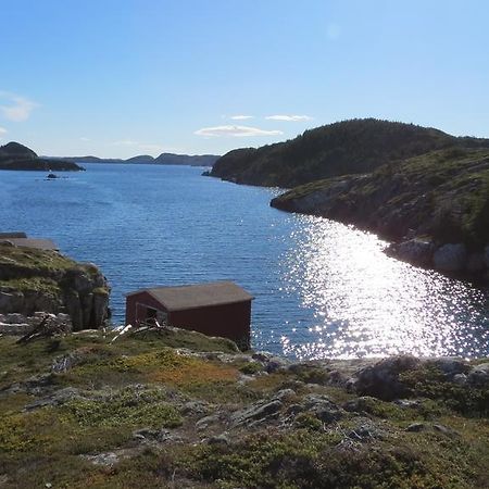 The Old Salt Box Co. - Daisy'S Place Herring Neck Buitenkant foto